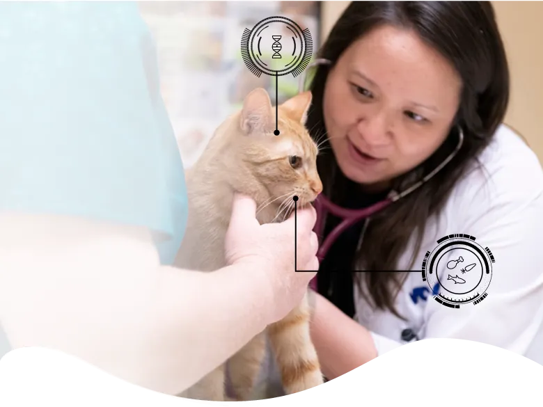 we want to take petcare to the next level banner image