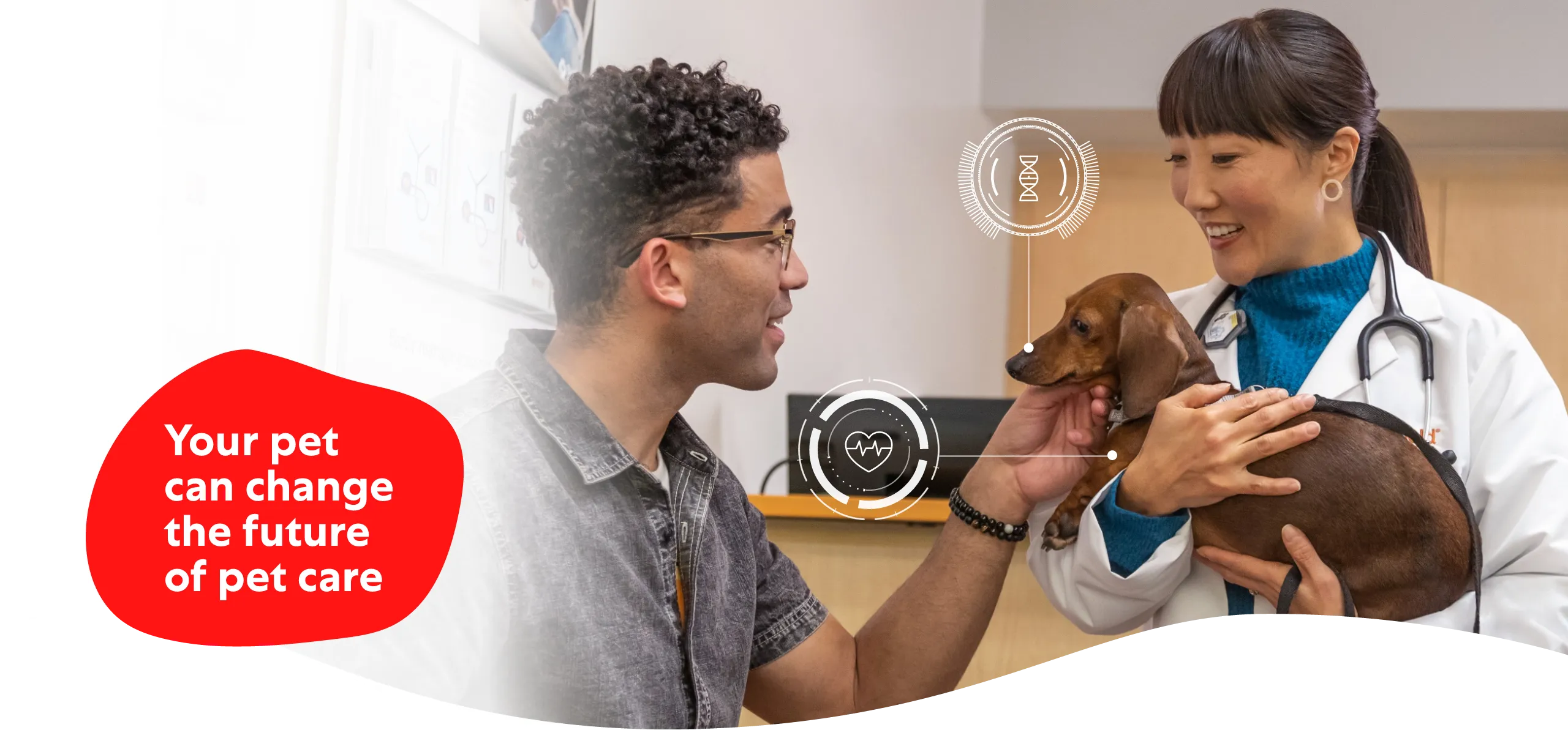 Join us in shaping the future of petcare banner image
